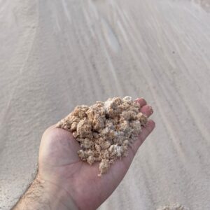 Areia Branca de Parque